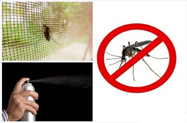 3 phương pháp hiệu quả chống muỗi và côn trùng hiệu quả